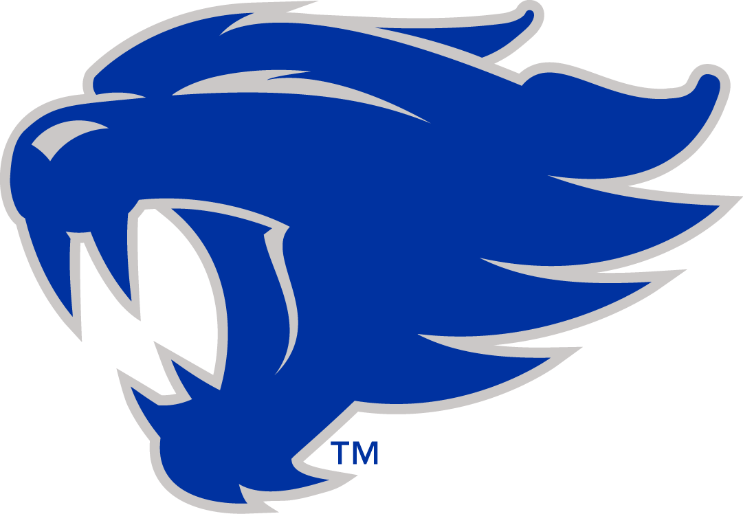 Kentucky Wildcats 2016-Pres Alternate Logo fabric transfers